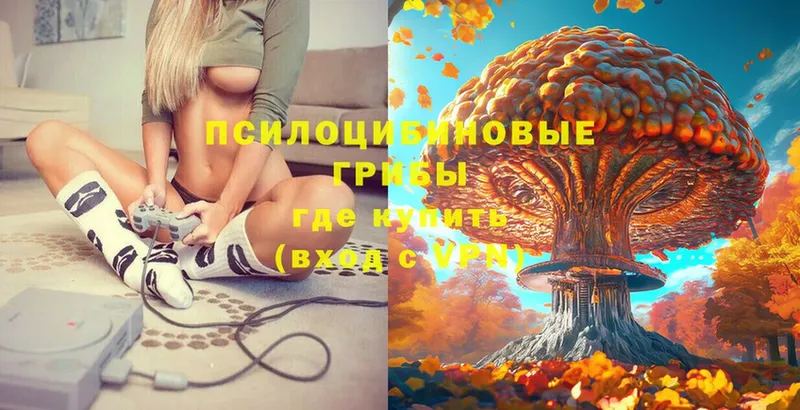 Псилоцибиновые грибы Psilocybe  OMG маркетплейс  Ульяновск 